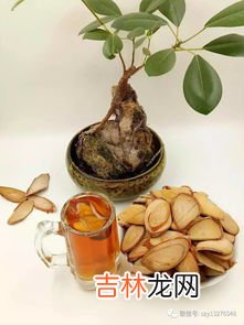 东革人参精华片功效,东革阿里的营养价值