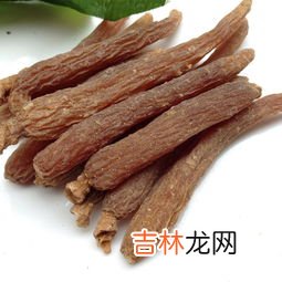 东革人参精华片功效,东革阿里的营养价值
