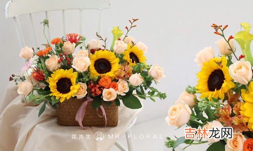 香槟玫瑰和黄玫瑰的区别,黄玫瑰和香槟玫瑰哪个比较好