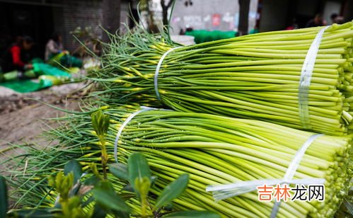 蒜苔帽能不能吃,蒜苔分为白帽和红帽的，哪种品质更好？