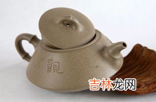 竹子的特点和品质,竹子的特点和品质