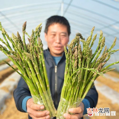 破土和动土的区别,历书说动土和破土有什么区别