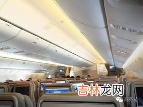 经济舱和商务舱的区别,飞机上经济舱和商务舱有什么区别呀?