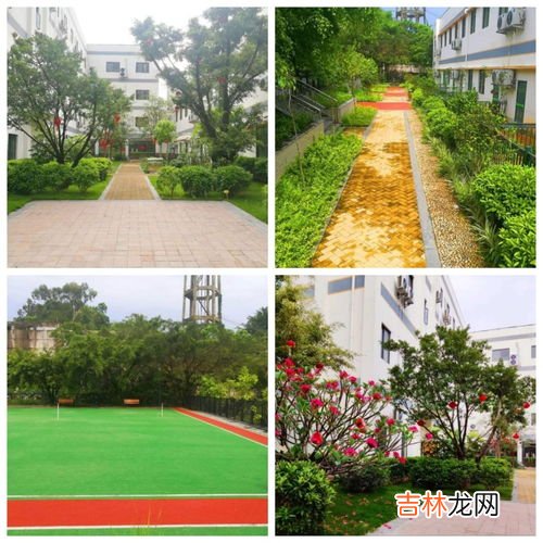 疗养院和养老院的区别有哪些,养护院和养老院的区别