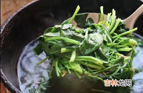 过年吃菠菜的寓意,年夜饭菠菜粉丝什么寓意