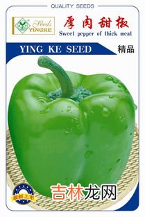 芥兰和菜心区别是什么,菜心和芥兰的区别是什么?