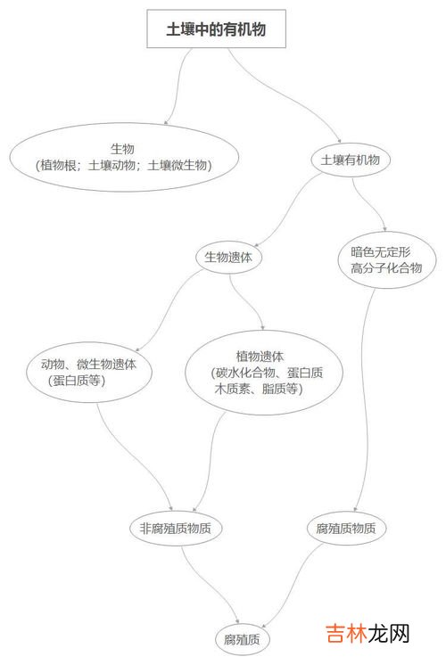 无机物和有机物的区别,有机物和无机物的区别有哪些