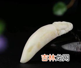 狼牙的寓意是什么,狼牙吊坠有什么意义,狼牙坠子的意义