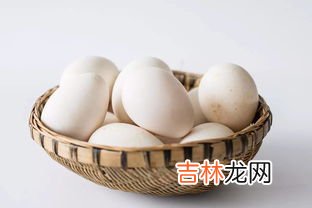 鹅蛋的最佳吃法水煮,鹅蛋怎么煮好吃?