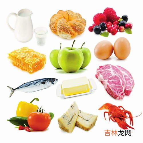 小燕子吃什么食物,燕子吃什么东西怎么喂养？