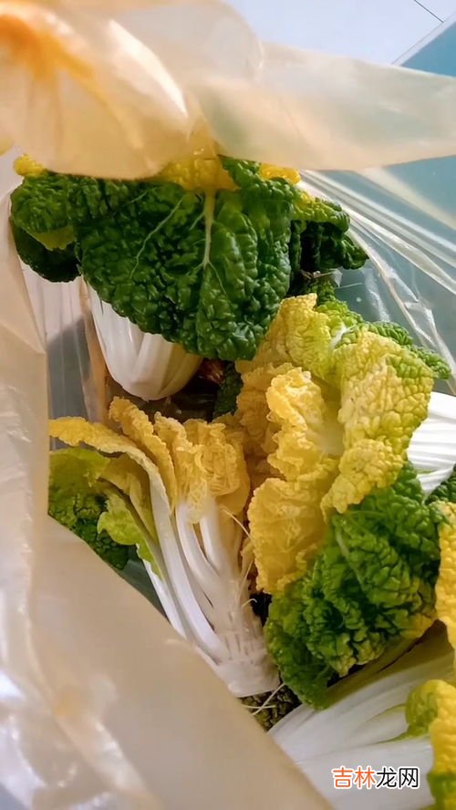 蔬菜如何保存时间长,新鲜蔬菜怎么保存时间长一点