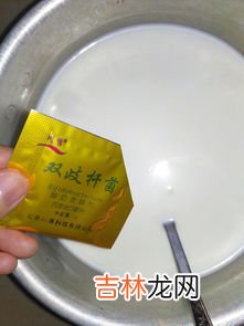 奶粉做酸奶的制作方法,用奶粉怎么做酸奶