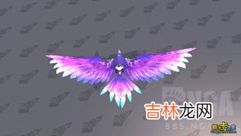 乌鸦长什么样子,老鸹和喜鹊有什么区别图片
