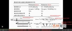 原核生物与真核生物的区别,原核生物和真核生物的区别