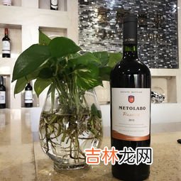 红酒可以放冰箱吗,红酒可以放冰箱保鲜吗