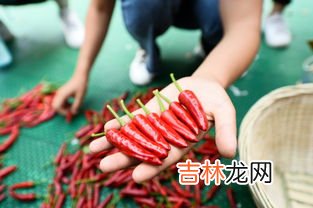 哪里是辣椒的原产地,哪里是辣椒的原产地