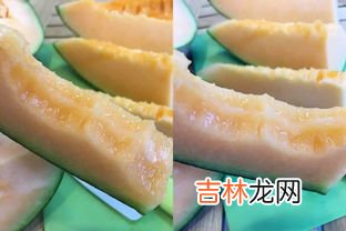 伽师瓜和哈密瓜的不同,咖啵瓜是什么？是哈密瓜的一种吗？