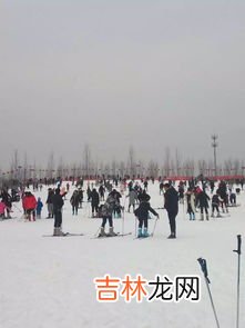 滑雪场的雪为什么不融化,2022年冬奥会滑雪场的雪是真雪吗