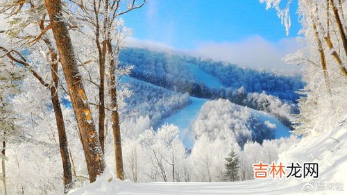 滑雪场的雪为什么不融化,2022年冬奥会滑雪场的雪是真雪吗