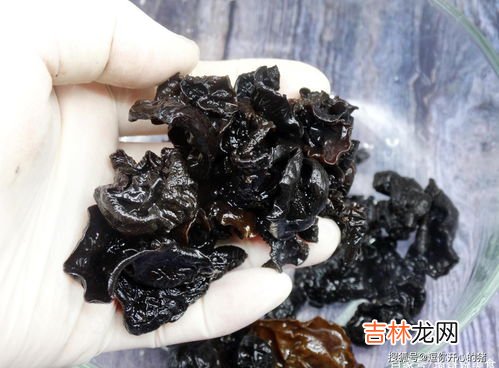 木耳泡了一晚上还能吃,黑木耳泡一晚上还能吃吗