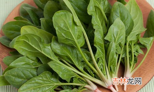哪些人不能吃救心菜,血小板低的人可以吃救心菜吗