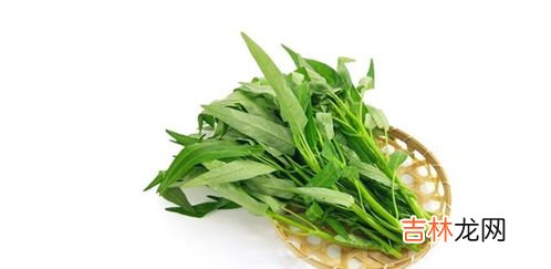 哪些人不能吃救心菜,血小板低的人可以吃救心菜吗