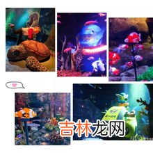 鳐鱼和魔鬼鱼的区别,魔鬼渔是鳐鱼吗?