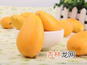 哪些人不适合吃芒果呢,什么人不适合吃芒果有哪些人不适合吃芒果