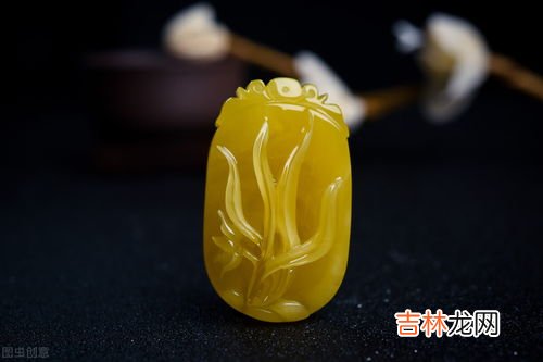 琥珀和化石的区别是什么,琥珀与木化石如何区别