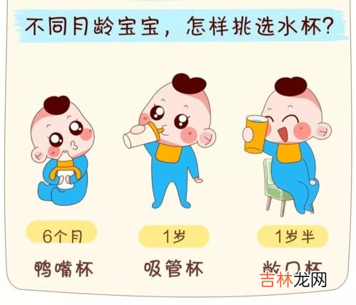 使用鸭嘴杯的危害,鸭嘴杯和吸管杯的区别