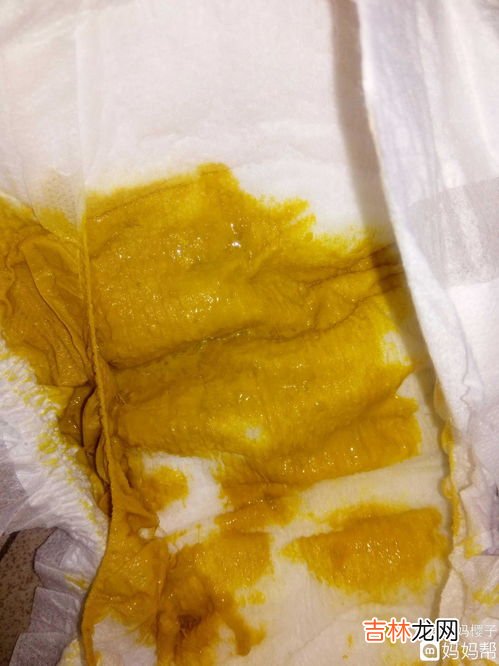 猪皮有臭味是正常的吗,猪皮坏了是什么样子