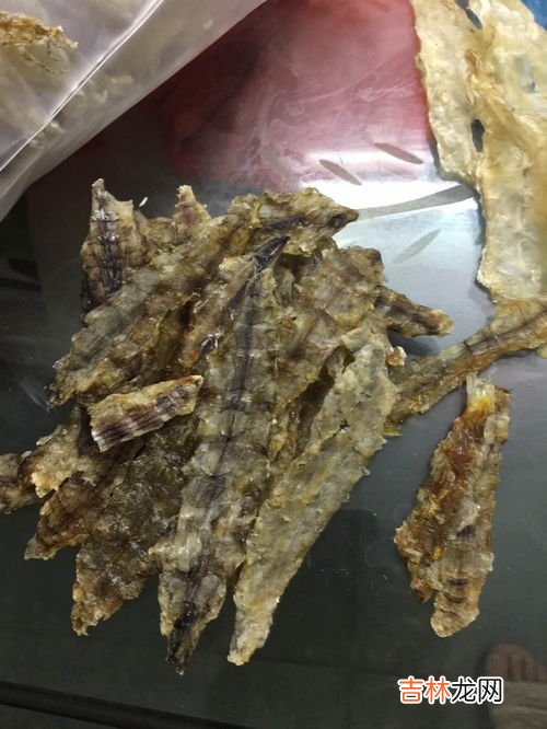 皮皮虾的功效与禁忌,皮皮虾的相克食物 皮皮虾不能和哪些食物一起吃?