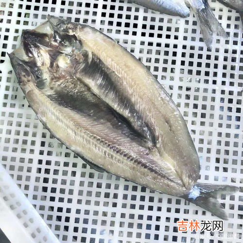 鲐鱼和鲅鱼的区别,海边长大的山东人青岛美食鲅鱼和鲐鲅鱼之争，它们的区别在哪里？