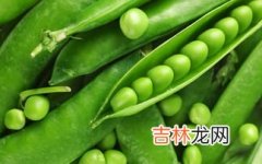 豌豆是不是黄豆,黄豆是豌豆吗 黄豆有啥营养