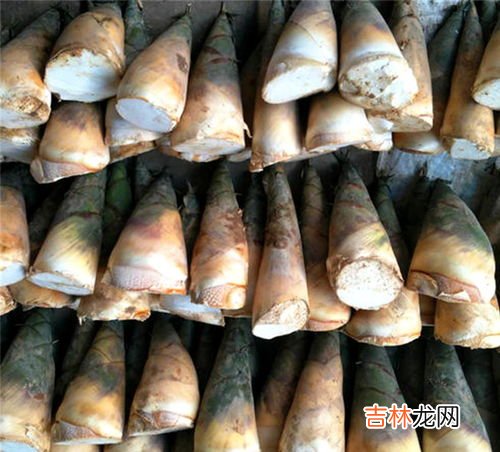 竹笋苦是怎么回事可以吃吗,竹笋是很多人最喜欢的美食,但往往会发苦,这是为什么?