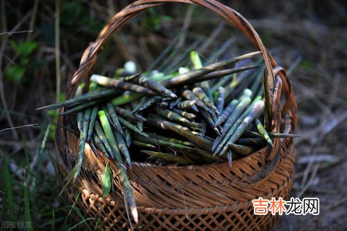 竹笋苦是怎么回事可以吃吗,竹笋是很多人最喜欢的美食,但往往会发苦,这是为什么?