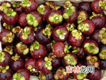 山竹怎么吃,山竹怎么吃好 推荐两款食用方法