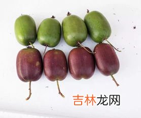 庄河有哪些特产,庄河有哪些土特产？