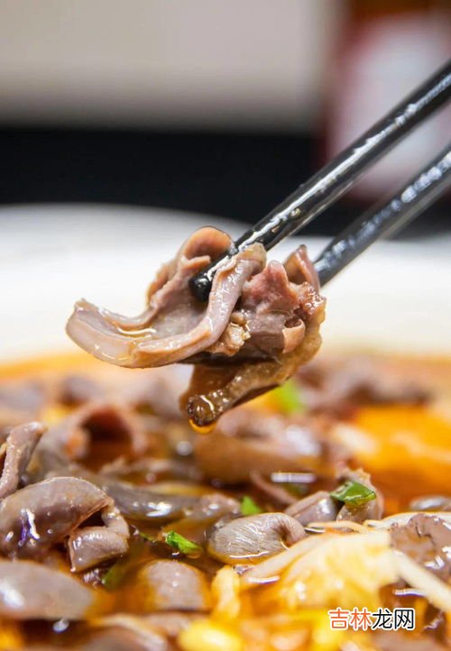 鸭胗是什么,鸭胗是什么器官
