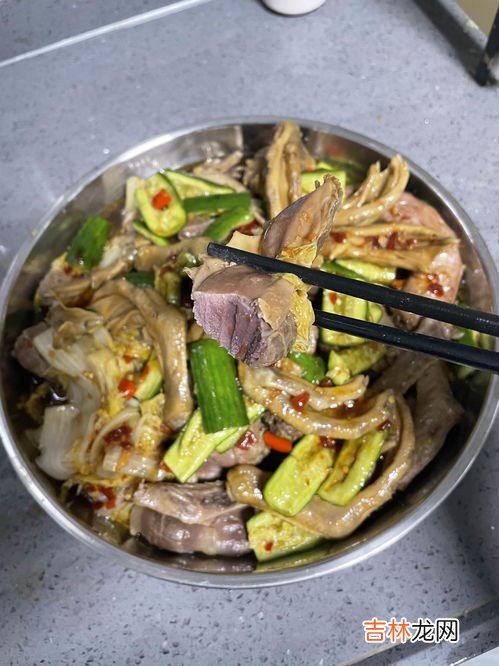 鸭胗是什么,鸭胗是什么器官