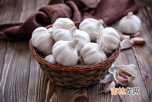 大蒜胶囊哪个牌子好,德国大蒜素胶囊如何吃
