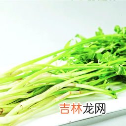 野芹菜有毒吗,野芹菜能吃吗？