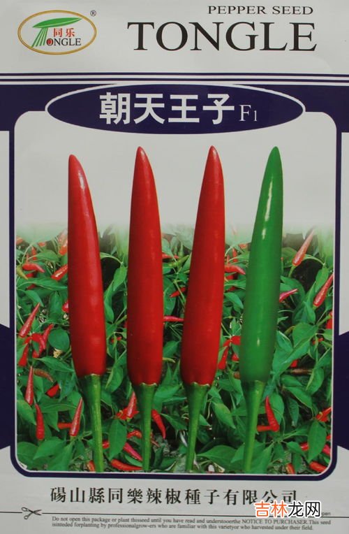 小米椒和朝天椒的区别,朝天椒和小米辣是一个品种吗