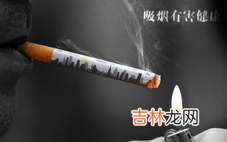 香烟怕冻吗,香烟可以放在冰箱里吗?