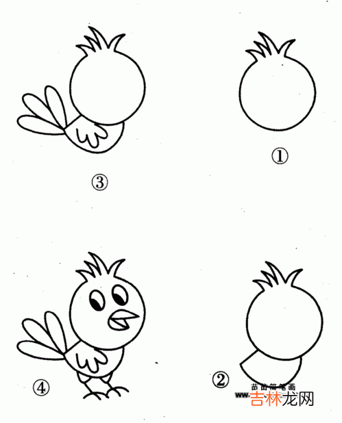 鸟怎么画的,小鸟怎么画一步一步教简单