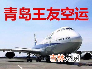 怎样空运宠物,宠物狗如何空运？