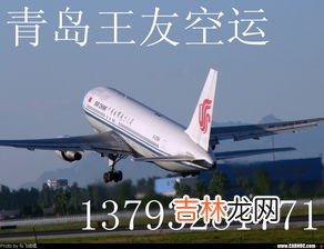 怎样空运宠物,宠物狗如何空运？