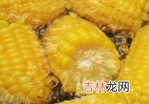 玉米什么季节成熟,玉米成熟季节是几月?