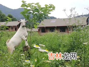 玉米什么季节成熟,玉米成熟季节是几月?