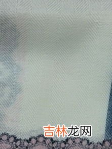 雪纺棉是什么面料,雪纺是什么面料及如何辨别